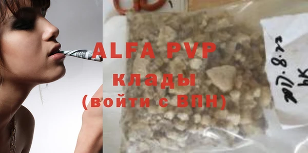 эйфоретик Алзамай