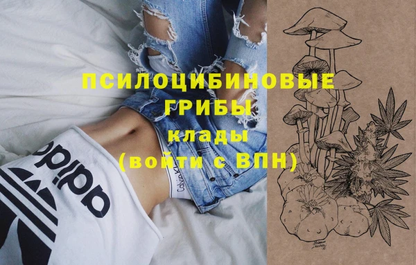 дмт Алексеевка