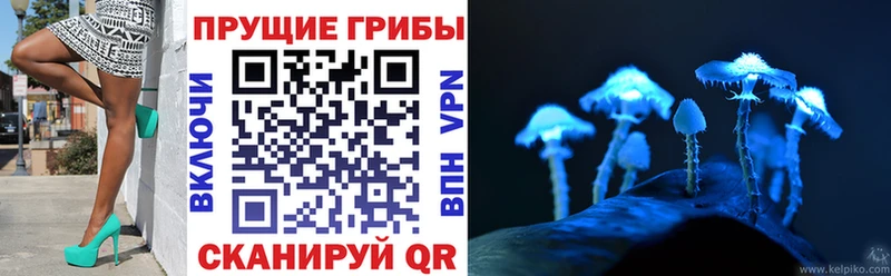 как найти наркотики  Апатиты  Псилоцибиновые грибы мухоморы 