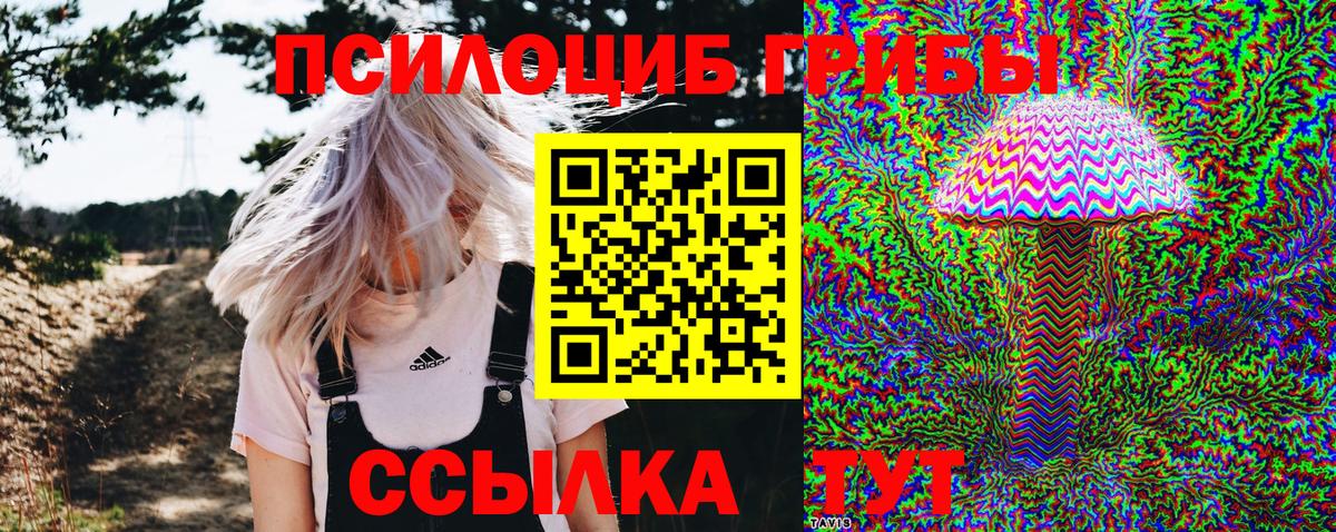 Галлюциногенные грибы Magic Shrooms Апатиты